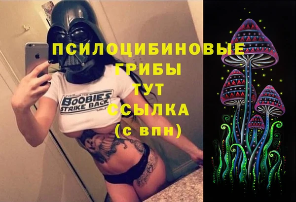 ГАЛЛЮЦИНОГЕННЫЕ ГРИБЫ Каменск-Шахтинский