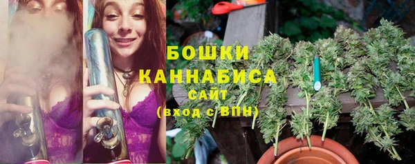 твердый Иннополис