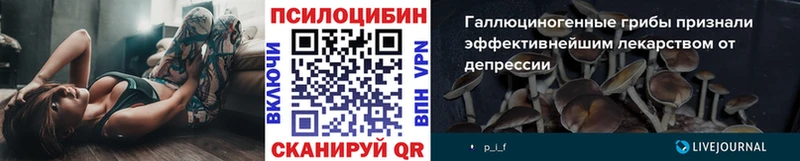 Псилоцибиновые грибы ЛСД  Купить где  Нижняя Салда 